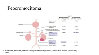 Feocromocitoma
• Gardner DG, Shoback D, editores. Greenspan endocrinología básica y clínica.9ª ed. México: McGraw-Hill;
2012.
 