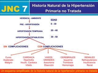 JNC   7 Historia Natural de la Hipertensión Primaria no Tratada Un esquema simplificado de la historia natural de la hipertensión primaria no tratada HERENCIA - AMBIENTE PRE - HIPERTENSIÓN HIPERTENSIÓN TEMPRANA HIPERTENSIÓN ESTABLECIDA Curso  Acelerado  Maligno CARDIACA Hipertrofia Insufic. Cardiaca Infarto VASOS  GRANDES Aneurisma Disección CEREBRALES Isquemia Trombosis Hemorragia RENALES Nefroesclerosis  Insuficiencia  Renal CON  COMPLICACIONES SIN  COMPLICACIONES 0 - 30 20 - 40 30 - 50 EDAD 