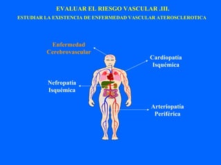 Enfermedad Cerebrovascular Cardiopatía Isquémica Nefropatía Isquémica Arteriopatía Periférica EVALUAR EL RIESGO VASCULAR .III. ESTUDIAR LA EXISTENCIA DE ENFERMEDAD VASCULAR ATEROSCLEROTICA   