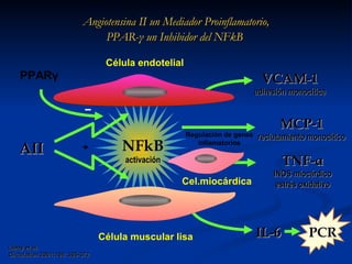 Angiotensina II un Mediador Proinflamatorio, PPAR- γ  un Inhibidor del NFkB  AII Libby et al.  Circulation  2001;104: 365-372  + IL-6 VCAM-1 adhesión monocítica NFkB activación Célula endotelial Célula muscular lisa PCR TNF- α INOS miocárdico estrés oxidativo Cel.miocárdica MCP-1 reclutamiento monocítico Regulación de genes inflamatorios PPAR γ 