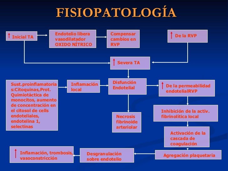 hipertensión pulmonar en el recien nacido hombre