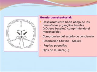 Hernia transtentorial:   Desplazamiento hacia abajo de los hemisferios y ganglios basales (núcleos basales) comprimiendo el mesencéfalo;  Compromiso del estado de conciencia Respiración Cheyne –Stokes Pupilas pequeñas  Ojos de muñeca(+) 