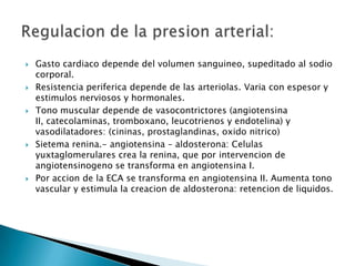    Gasto cardiaco depende del volumen sanguineo, supeditado al sodio
    corporal.
   Resistencia periferica depende de las arteriolas. Varia con espesor y
    estimulos nerviosos y hormonales.
   Tono muscular depende de vasocontrictores (angiotensina
    II, catecolaminas, tromboxano, leucotrienos y endotelina) y
    vasodilatadores: (cininas, prostaglandinas, oxido nitrico)
   Sietema renina.- angiotensina – aldosterona: Celulas
    yuxtaglomerulares crea la renina, que por intervencion de
    angiotensinogeno se transforma en angiotensina I.
   Por accion de la ECA se transforma en angiotensina II. Aumenta tono
    vascular y estimula la creacion de aldosterona: retencion de liquidos.
 