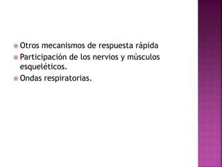  Otros mecanismos de respuesta rápida
 Participación de los nervios y músculos
esqueléticos.
 Ondas respiratorias.
 