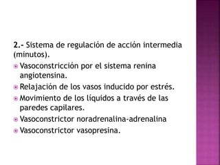 2.- Sistema de regulación de acción intermedia
(minutos).
 Vasoconstricción por el sistema renina
angiotensina.
 Relajación de los vasos inducido por estrés.
 Movimiento de los líquidos a través de las
paredes capilares.
 Vasoconstrictor noradrenalina-adrenalina
 Vasoconstrictor vasopresina.
 