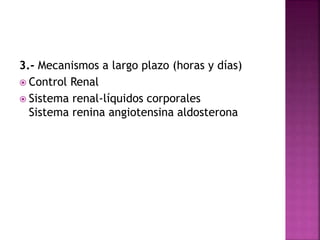 3.- Mecanismos a largo plazo (horas y días)
 Control Renal
 Sistema renal-líquidos corporales
Sistema renina angiotensina aldosterona
 