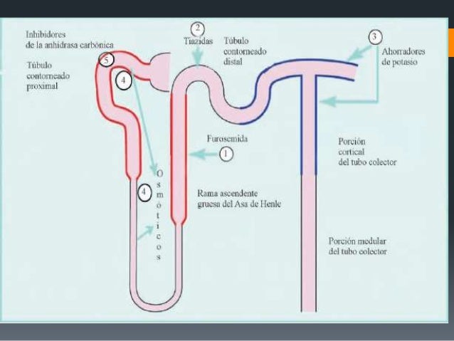 hipertensión arterial consecuencias experiencia