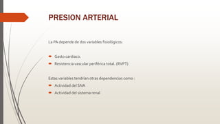 PRESION ARTERIAL
La PA depende de dos variables fisiológicos:
 Gasto cardiaco.
 Resistencia vascular periférica total. (RVPT)
Estas variables tendrían otras dependencias como :
 Actividad del SNA
 Actividad del sistema renal
 