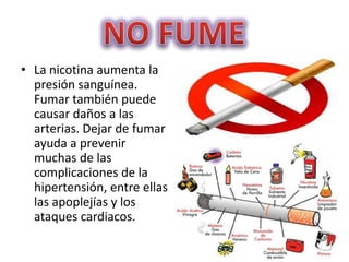 • La nicotina aumenta la
presión sanguínea.
Fumar también puede
causar daños a las
arterias. Dejar de fumar
ayuda a prevenir
muchas de las
complicaciones de la
hipertensión, entre ellas
las apoplejías y los
ataques cardiacos.

 