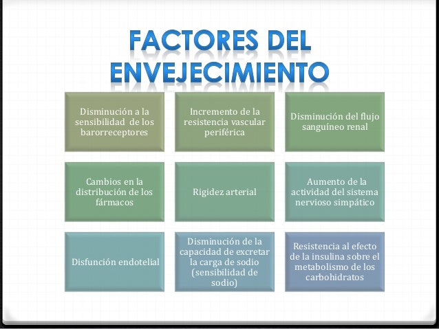 Disfunción Diastólica Grado 1 Es Grave