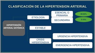 ESENCIAL O
PRIMARIA
ESTABLE
SECUNDARIA
90-95%
5-10%
URGENCIA HIPERTENSIVA
EMERGENCIA HIPERTENSIVA
HIPERTENSIÓN
ARTERIAL SISTÉMICA
CRISIS
HIPERTENSIVA
ETIOLOGÍA
 