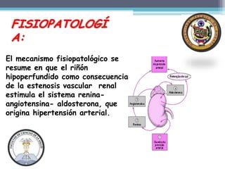 FISIOPATOLOGÍ
 A:
El mecanismo fisiopatológico se
resume en que el riñón
hipoperfundido como consecuencia
de la estenosis vascular renal
estimula el sistema renina-
angiotensina- aldosterona, que
origina hipertensión arterial.
 