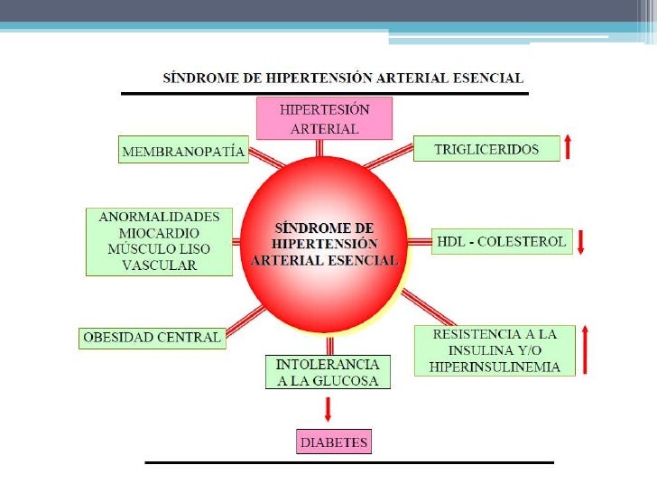 Albert Einstein en presión arterial normal en hombres