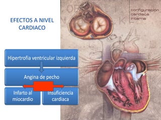 EFECTOS A NIVEL
CARDIACO
 