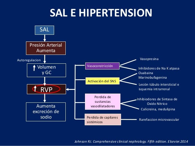 sal hipertension hipertension arterial y enfermedad renal cronica sal hipertension hipertension arterial y enfermedad renal cronica