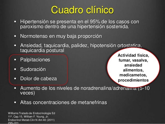 Presión Arterial Sistólica Diastólica
