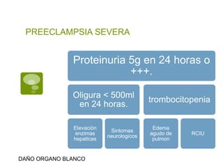 PREECLAMPSIA SEVERA
Proteinuria 5g en 24 horas o
+++.
Oligura < 500ml
en 24 horas.
Elevación
enzimas
hepaticas
Sintomas
neurologicos
trombocitopenia
Edema
agudo de
pulmon
RCIU
DAÑO ORGANO BLANCO
 