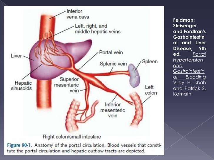portal hypertension