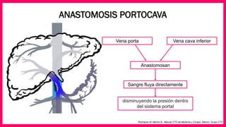 hipertension-portal-pdf