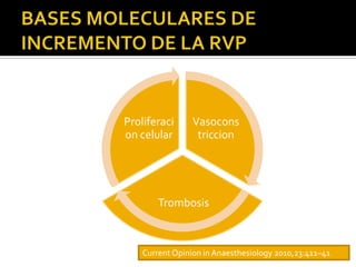 Proliferaci      Vasocons
on celular        triccion




        Trombosis



    Current Opinion in Anaesthesiology 2010,23:411–41
 