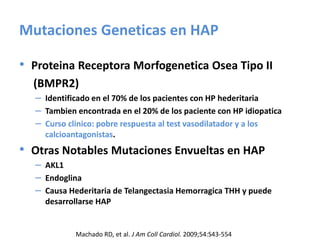 Mutaciones Geneticas en HAP
• Proteina Receptora Morfogenetica Osea Tipo II
(BMPR2)
– Identificado en el 70% de los pacientes con HP hederitaria
– Tambien encontrada en el 20% de los paciente con HP idiopatica
– Curso clinico: pobre respuesta al test vasodilatador y a los
calcioantagonistas.
• Otras Notables Mutaciones Envueltas en HAP
– AKL1
– Endoglina
– Causa Hederitaria de Telangectasia Hemorragica THH y puede
desarrollarse HAP
Machado RD, et al. J Am Coll Cardiol. 2009;54:S43-554
 