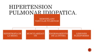 REMODELADO
VASCULAR PULMONAR
HIPERTROFIA DE
LA MEDIA
MUSCULARIZACI
ON
ENGROSAMIENTO
DE LA INTIMA
LESIONES
FLEXIFORMES
 