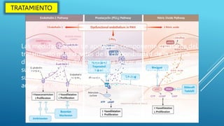TRATAMIENTO
Las medidas básicas de apoyo, un componente constante del
tratamiento mucho antes de la disponibilidad de la terapia
dirigida, incluyen diuréticos para lograr euvolemia y oxígeno
suplementario cuando sea necesario en reposo, durante el
sueño o con el ejercicio, para mantener una saturación
adecuada de oxígeno en la hemoglobina.
 