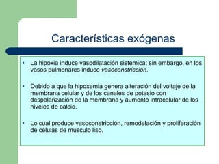 Características exógenas La hipoxia induce vasodilatación sistémica; sin embargo, en los vasos pulmonares induce  vasoconstricción. Debido a que la hipoxemia genera alteración del voltaje de la membrana celular y de los canales de potasio con despolarización de la membrana y aumento intracelular de los niveles de calcio. Lo cual produce vasoconstricción, remodelación y proliferación de células de músculo liso. 