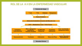ROL DE LA A II EN LA ENFERMEDAD VASCULAR
Diabetes Tabaquismo
Estres Oxidativo
Disfunción Endotelial activación del Músculo Liso
Fact. crecimiento,
Cytoquinas-matrizProteólisis
Inflamación
VCAM/ICAM
Citoquinas
Endotelina
Catecolaminas
 TA LDL
 NO • ∆ Mediadores Local •  ECA Tisular, AII
PAI-1, agregación
plaquetaria,
Factores tisulares
Vasoconstrición Trombosis Inflamación Rotura de Placa
Lesion Vascular y
Remodelación
Secuelas Clinicas
Factores de riesgo
 