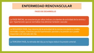 La FASE INICIAL se caracteriza por altos índices circulantes de actividad de la renina y
por hipertensión que se normaliza tras eliminar la lesión vascular.
La SEGUNDA FASE, hay retorno de la actividad de la renina circulante a niveles
normales o bajos, mientras que la hipertensión persiste y la presión aun puede
responder a la retirada del clip.
LaTERCERA FASE, la retirada del clip ya no logra reducir la presión arterial.
ENFERMEDAD RENOVASCULAR
FASES DE DESARROLLO
 