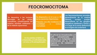 FEOCROMOCITOMA
Se denomina a los tumores
derivados de las células
cromafines, constituyentes del
sistema nervioso autónomo y
de la médula suprarrenal.
Se diagnostica en el o.o5 a 1 %
de los pacientes hipertensos.
Presenta una alta incidencia de
morbilidad e incluso
mortalidad.
Los feocromocitomas proceden
generalmente de la medula
adrenal, aunque pueden
desarrollarse en los ganglios
simpáticos (abdomen y tórax) y
a lo largo de la aorta abdominal
en el órgano de zuckerland
En los adultos el 80% son
unilaterales, el 10% bilaterales,
y el otro 10 % extraadrenales.
El 10% de los intraadrenales y el
30% extraadrenales son
malignos. La malignidad viene
determinada por la invasión
regional y las metástasis a
distancias.
 