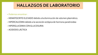 HALLAZGOS DE LABORATORIO
• Podemos encontrar:
• HEMATOCRITO ELEVADO debido a la disminución de volumen plasmático.
• HIPERCALCEMIA debido a la secreción ectópica de hormona paratiroidea
• HIPERGLUCEMIA CON GLUCOSURIA
• ACIDOSIS LÁCTICA
 