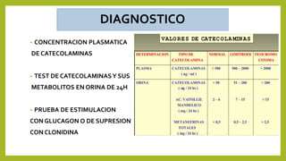 DIAGNOSTICO
• CONCENTRACION PLASMATICA
DE CATECOLAMINAS
• TEST DE CATECOLAMINASY SUS
METABOLITOS EN ORINA DE 24H
• PRUEBA DE ESTIMULACION
CON GLUCAGON O DE SUPRESION
CON CLONIDINA
 