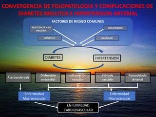 CONVERGENCIA DE FISIOPATOLOGIA Y COMPLICACIONES DE
DIABETES MELLITUS E HIPERTENSION ARTERIAL
RESISTENCIA A LA
INSULINA
GENETICA OBESIDAD
DISLIPIDEMIA
FACTORES DE RIESGO COMUNES
DIABETES HIPERTENSION
Ateroesclerosis
Disfunción
endotelial
Inflamación
vascular
Fibrosis
vascular
Remodelado
Arterial
Enfermedad
Macrovascular
Enfermedad
Microvascular
ENFERMEDAD
CARDIOVASCULAR
 