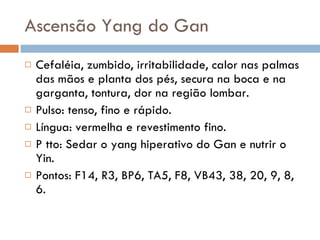 Ascensão Yang do Gan Cefaléia, zumbido, irritabilidade, calor nas palmas das mãos e planta dos pés, secura na boca e na garganta, tontura, dor na região lombar. Pulso: tenso, fino e rápido. Língua: vermelha e revestimento fino. P tto: Sedar o yang hiperativo do Gan e nutrir o Yin. Pontos: F14, R3, BP6, TA5, F8, VB43, 38, 20, 9, 8, 6. 