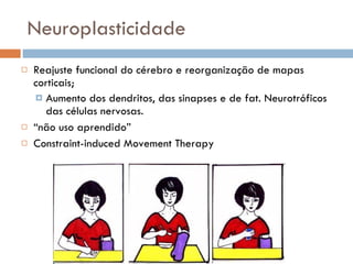 Neuroplasticidade Reajuste funcional do cérebro e reorganização de mapas corticais; Aumento dos dendritos, das sinapses e de fat. Neurotróficos das células nervosas. “ não uso aprendido” Constraint-induced Movement Therapy 