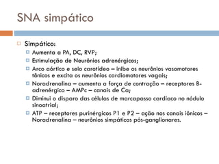 SNA simpático Simpático: Aumenta a PA, DC, RVP; Estimulação de Neurônios adrenérgicos; Arco aórtico e seio carotídeo – inibe os neurônios vasomotores tônicos e excita os neurônios cardiomotores vagais; Noradrenalina – aumenta a força de contração – receptores B-adrenérgico – AMPc – canais de Ca; Diminui o disparo das células de marcapasso cardíaco no nódulo sinoatrial; ATP – receptores purinérgicos P1 e P2 – ação nos canais iônicos – Noradrenalina – neurônios simpáticos pós-ganglionares. 