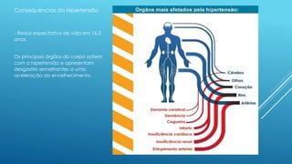 Consequências da Hipertensão 
- Reduz expectativa de vida em 16,5 
anos. 
Os principais órgãos do corpo sofrem 
com a hipertensão e apresentam 
desgastes semelhantes a uma 
aceleração do envelhecimento. 
 