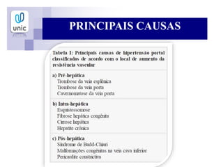 PRINCIPAIS CAUSAS
 