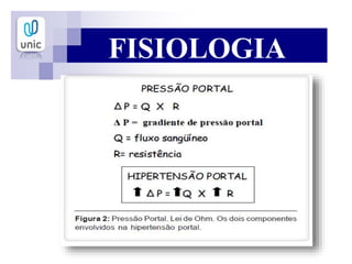 FISIOLOGIA
 