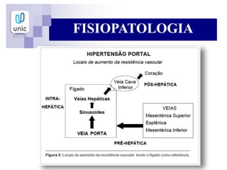 FISIOPATOLOGIA
 