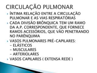    ÍNTIMA RELAÇÃO ENTRE A CIRCULAÇÃO
    PULMONAR E AS VIAS RESPIRATÓRIAS
   CADA DIVISÃO BRÔNQUICA TEM UM RAMO
    DA A.P. CORRESPONDENTE, QUE FORNECE
    RAMOS ACESSÓRIOS, QUE VÃO PENETRANDO
    NO PARÊNQUIMA
   VASOS PULMONARES PRÉ-CAPILARES:
    - ELÁSTICOS
    - MUSCULARES
    - ARTERIOLARES
   VASOS CAPILARES ( EXTENSA REDE )
 