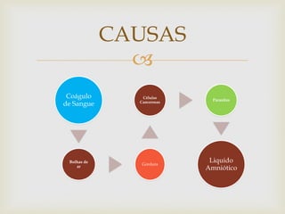 
CAUSAS
Coágulo
de Sangue
Bolhas de
ar
Gordura
Células
Cancerosas
Parasitas
Liquido
Amniótico
 