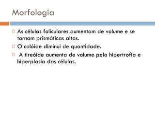 Morfologia As células foliculares aumentam de volume e se tornam prismáticas altas.  O colóide diminui de quantidade. A tireóide aumenta de volume pela hipertrofia e hiperplasia das células. 