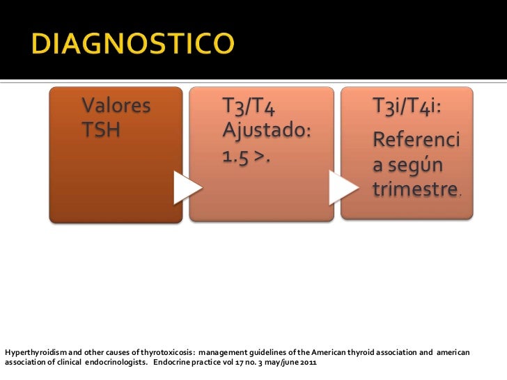 Como adelgazar en la sesión