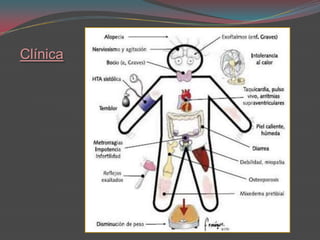 Desarrollo y erupción dental