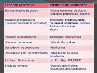 Síntesis y degradación de grasas, proteínas