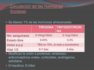 T3 inversa (rT3)Captación  y concentración de yoduros dentro de la glándulaOxidación de yoduros e incorporación al anillo fenol de la tirosinaAcoplamiento de dos moléculas de tirosina yodada para formar T3 y T4