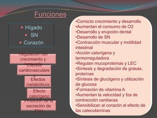 2Na-1IPeroxidasa tiroideaDesyodasaPeroxidasa tiroidea