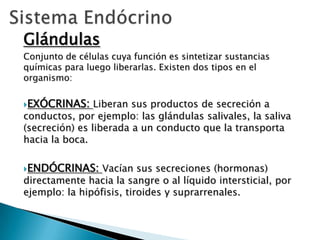 Glándulas
Conjunto de células cuya función es sintetizar sustancias
químicas para luego liberarlas. Existen dos tipos en el
organismo:
EXÓCRINAS:

Liberan sus productos de secreción a
conductos, por ejemplo: las glándulas salivales, la saliva
(secreción) es liberada a un conducto que la transporta
hacia la boca.
ENDÓCRINAS:

Vacían sus secreciones (hormonas)
directamente hacia la sangre o al líquido intersticial, por
ejemplo: la hipófisis, tiroides y suprarrenales.

 